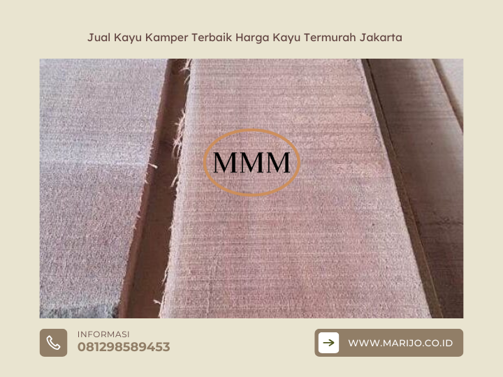 Jual Kayu Kamper Terbaik Harga Kayu Termurah Jakarta