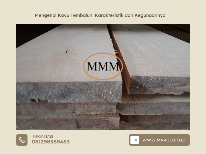 Mengenal Kayu Tembalun Karakteristik dan Kegunaannya