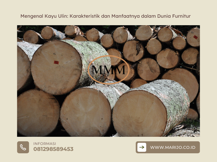 Mengenal Kayu Ulin: Karakteristik dan Manfaatnya dalam Dunia Furnitur