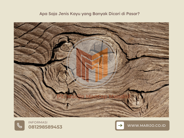 Apa Saja Jenis Kayu yang Banyak Dicari di Pasar