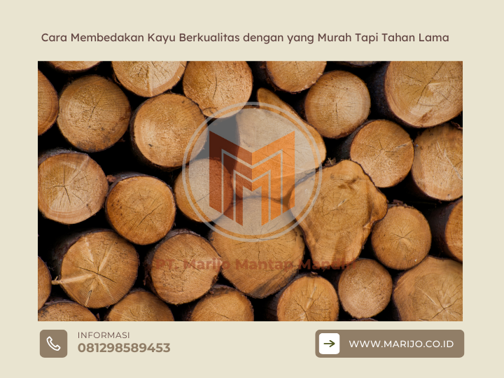 Cara Membedakan Kayu Berkualitas dengan yang Murah Tapi Tahan Lama