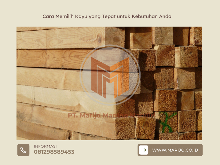 Cara Memilih Kayu yang Tepat untuk Kebutuhan Anda