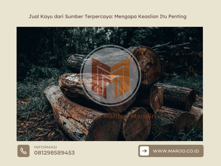 Jual Kayu dari Sumber Terpercaya Mengapa Keaslian Itu Penting