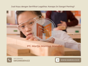 Jual Kayu dengan Sertifikat Legalitas Kenapa Ini Sangat Penting