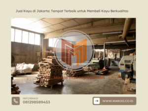 Jual Kayu di Jakarta Tempat Terbaik untuk Membeli Kayu Berkualitas