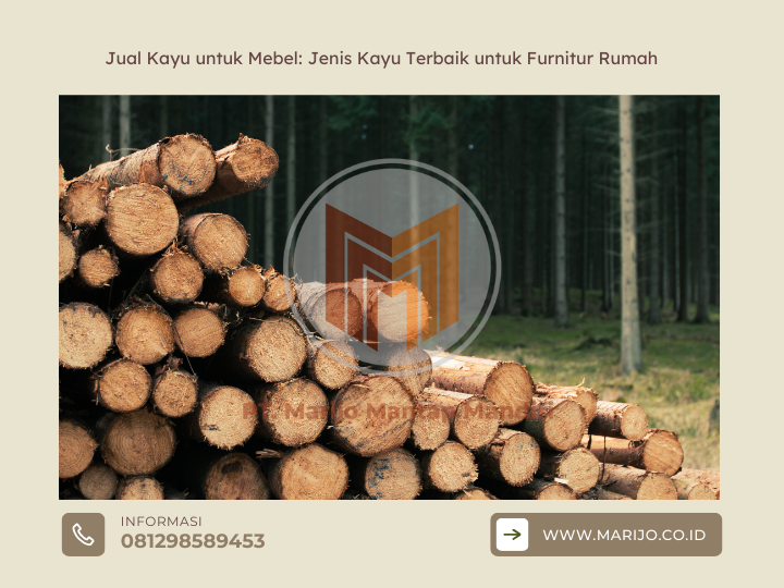 Jual Kayu untuk Mebel