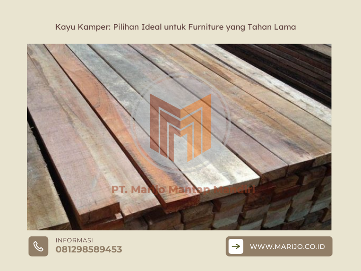 Kayu Kamper Pilihan Ideal untuk Furniture yang Tahan Lama