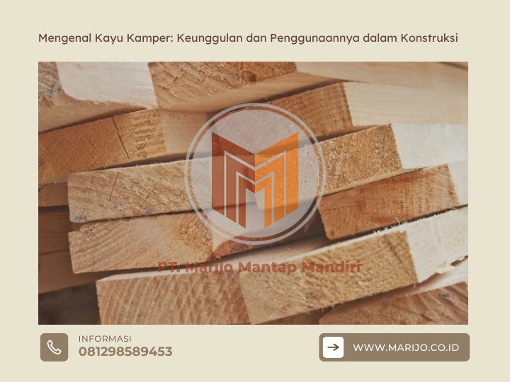 Mengenal Kayu Kamper Keunggulan dan Penggunaannya dalam Konstruksi