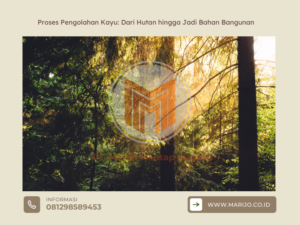 Proses Pengolahan Kayu Dari Hutan hingga Jadi Bahan Bangunan