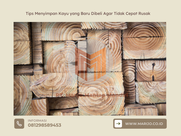 Tips Menyimpan Kayu yang Baru Dibeli Agar Tidak Cepat Rusak