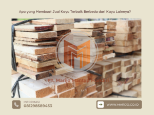 Apa yang Membuat Jual Kayu Terbaik Berbeda dari Kayu Lainnya