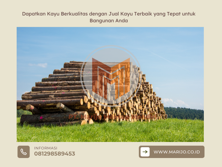 Dapatkan Kayu Berkualitas dengan Jual Kayu Terbaik yang Tepat untuk Bangunan Anda