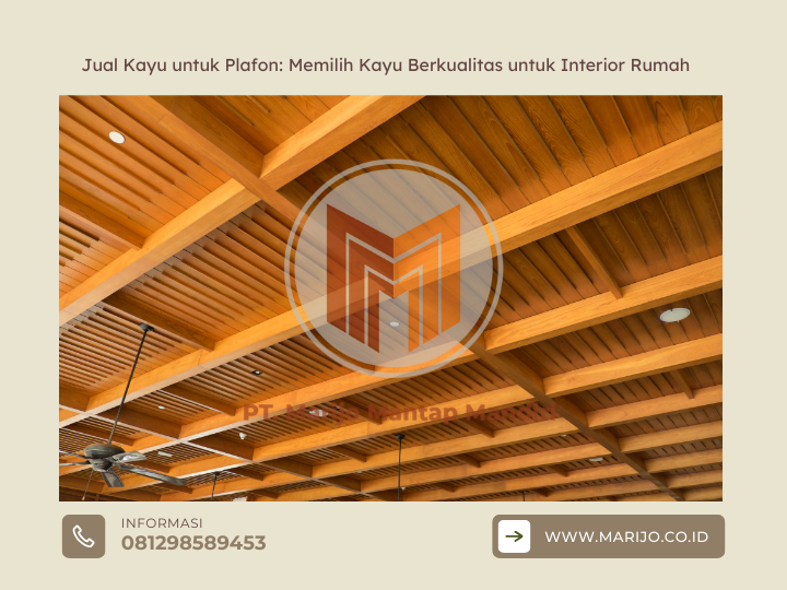 Jual Kayu untuk Plafon Memilih Kayu Berkualitas untuk Interior Rumah