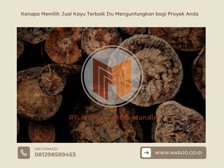 Kenapa Memilih Jual Kayu Terbaik Itu Menguntungkan bagi Proyek Anda